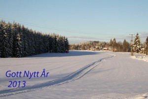 IMG_1005